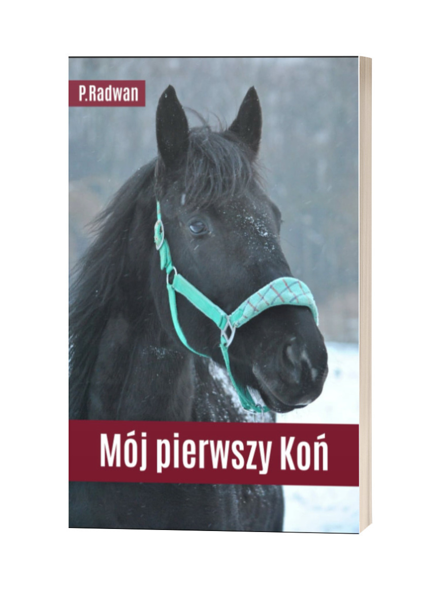 Książka "Mój Pierwszy Koń: Poradnik dla osób kupujących swojego pierwszego wierzchowca"