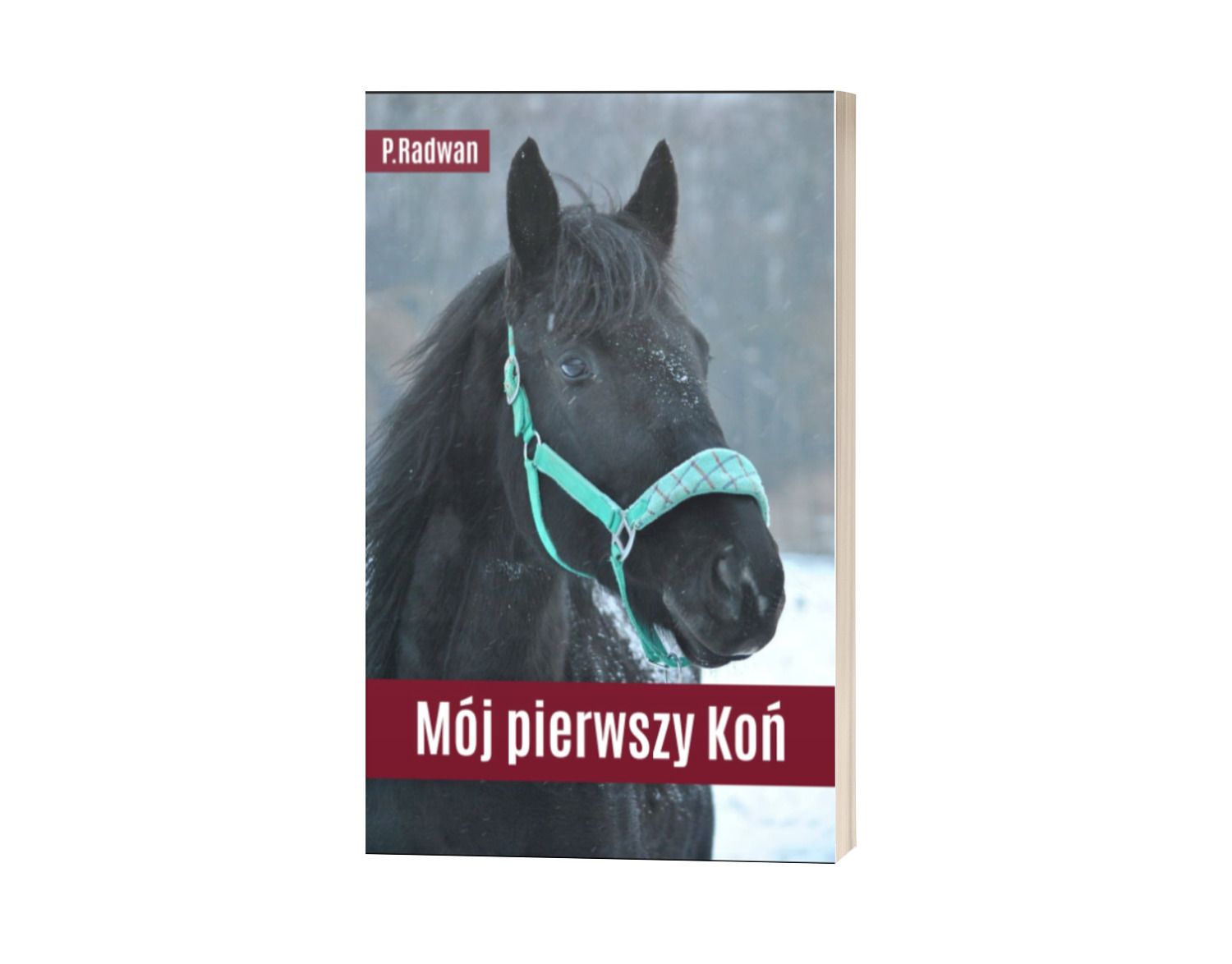 MÓJ PIERWSZY KOŃ: PORADNIK DLA OSÓB KUPUJĄCYCH SWOJEGO PIERWSZEGO WIERZCHOWCA. P. RADWAN