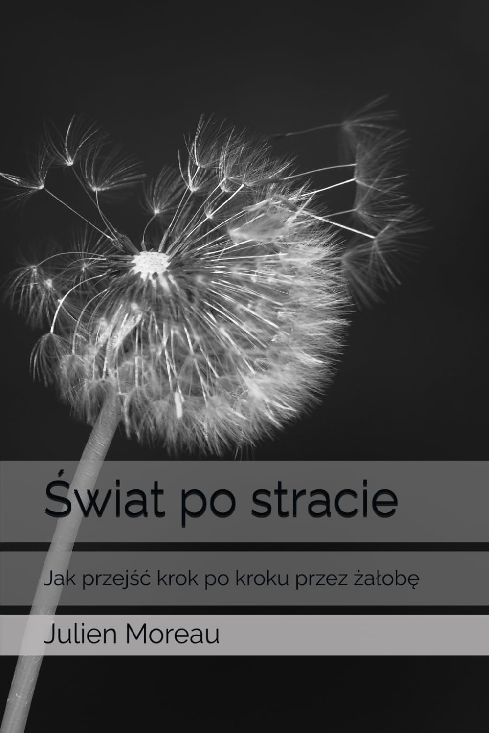 ŚWIAT PO STRACIE: JAK PRZEJŚĆ KROK PO KROKU PRZEZ ŻAŁOBĘ. J. MOREAU - obrazek 2