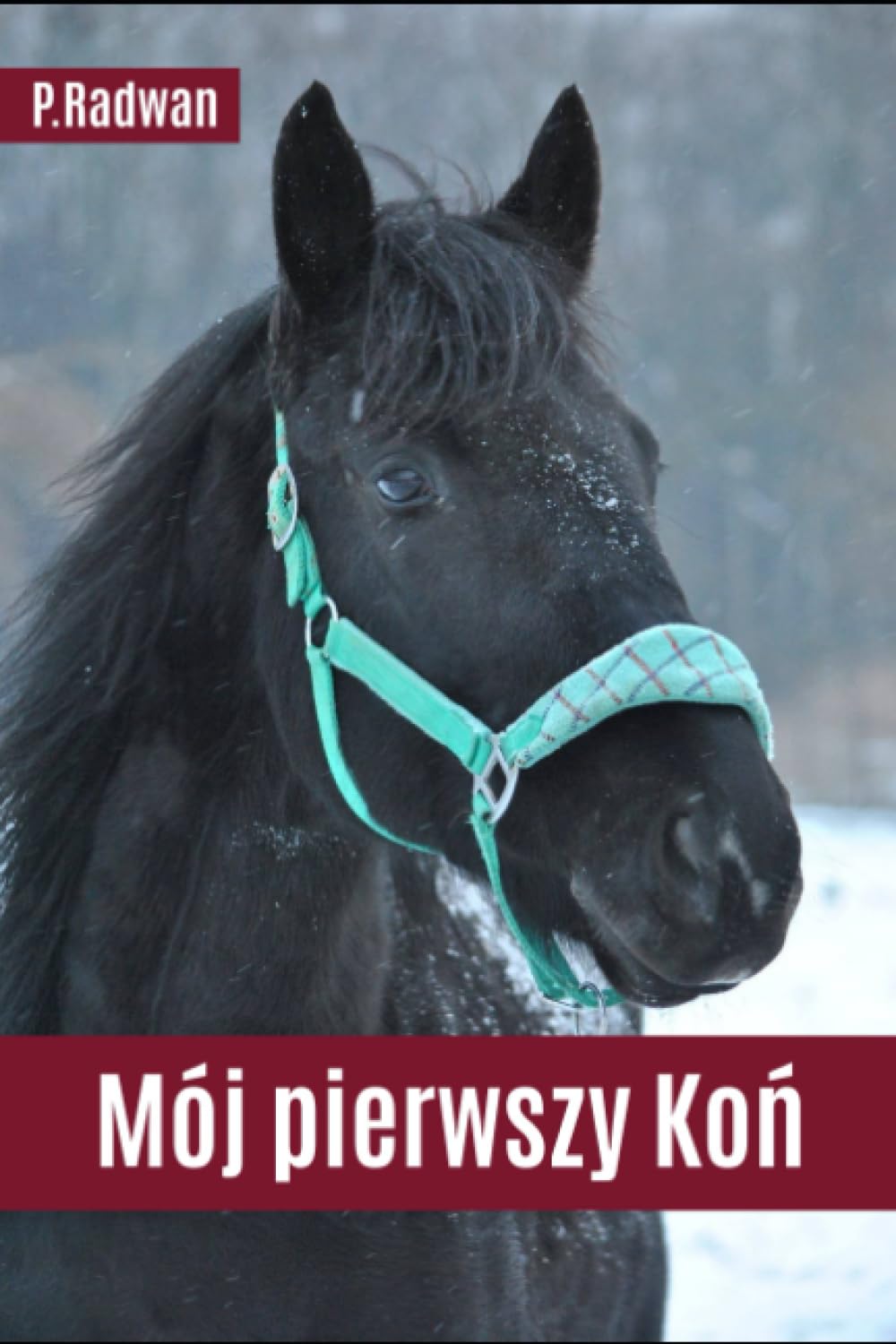 MÓJ PIERWSZY KOŃ: PORADNIK DLA OSÓB KUPUJĄCYCH SWOJEGO PIERWSZEGO WIERZCHOWCA. P. RADWAN - obrazek 2